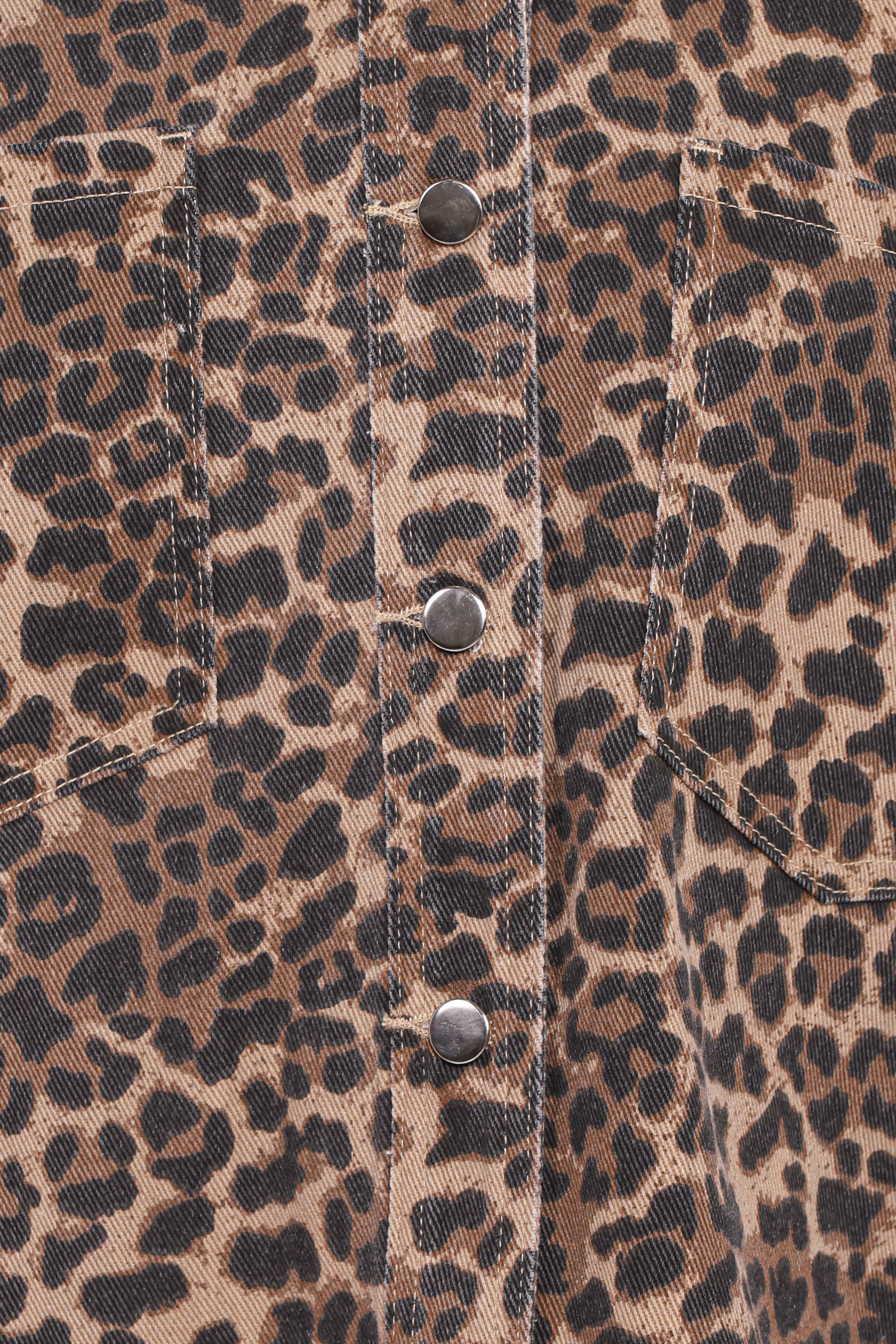 Elias Shacket - Leopard