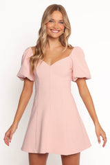 Fletcher Mini Dress - Pink