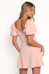 Fletcher Mini Dress - Pink