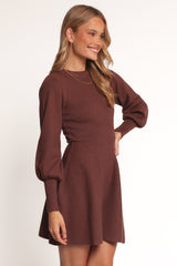 Gigi Long Sleeve Mini Dress - Brown
