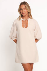 Sidney Mini Dress - Tan Stripe