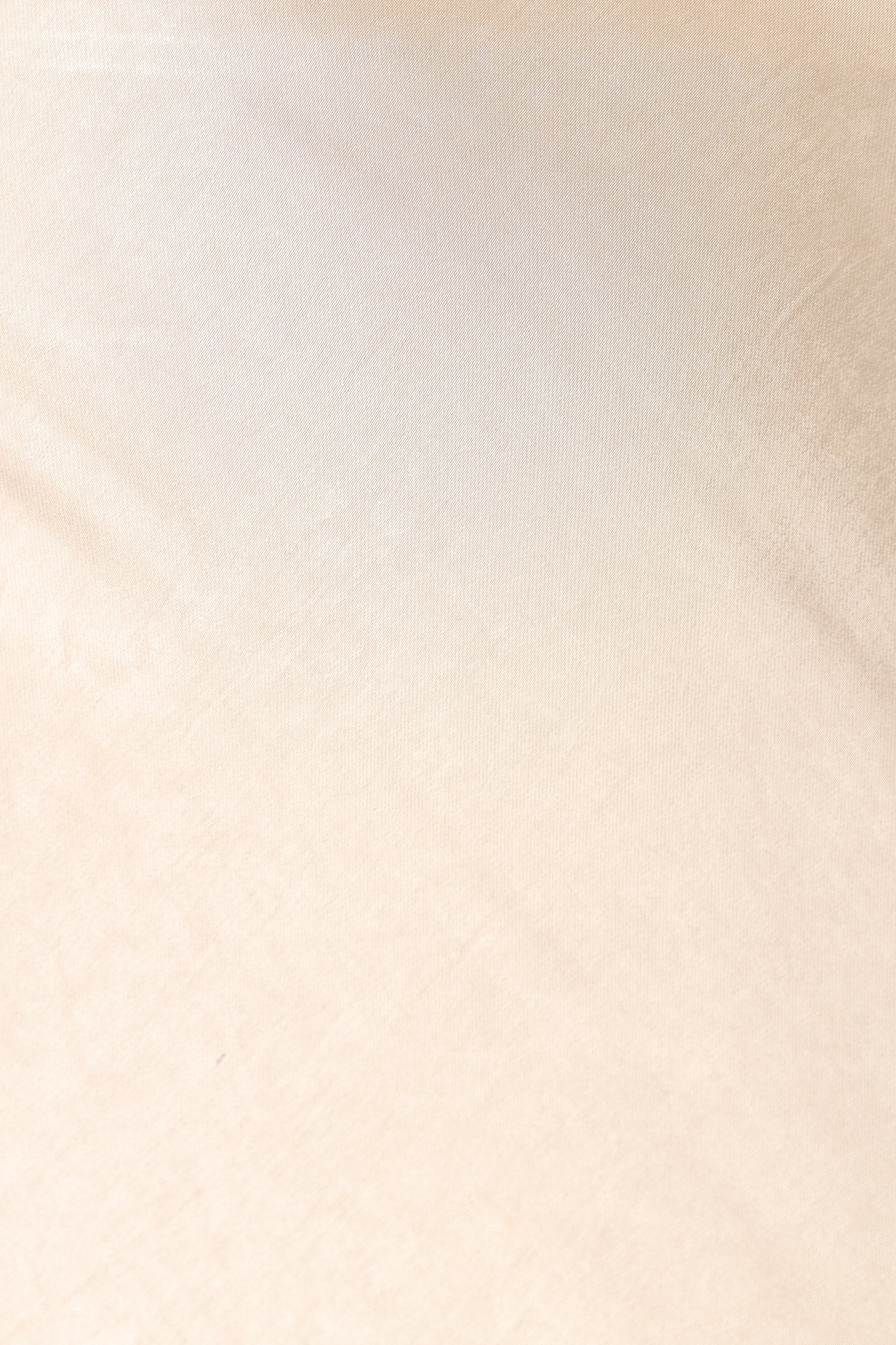 Petal and Pup USA BOTTOMS Melrose Maxi Skirt - Champagne