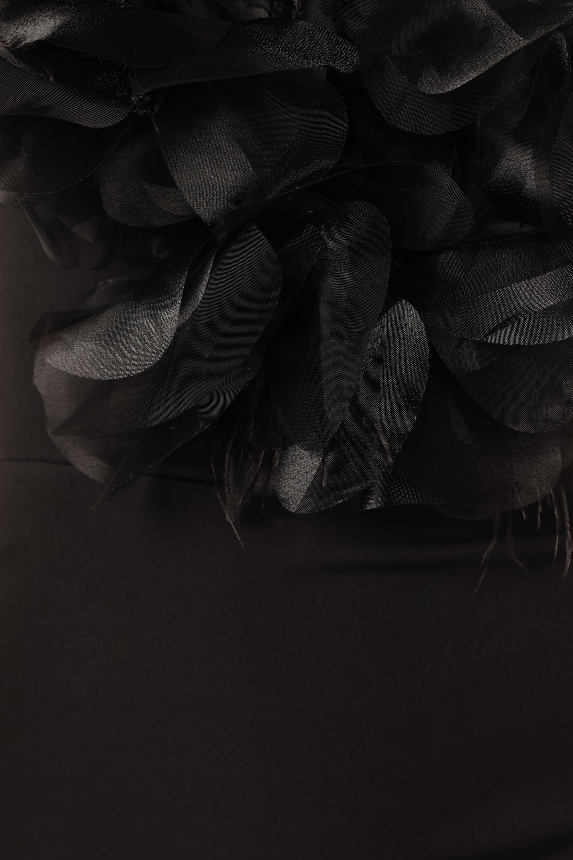 Petal and Pup USA DRESSES Phoebe Mini Dress - Black