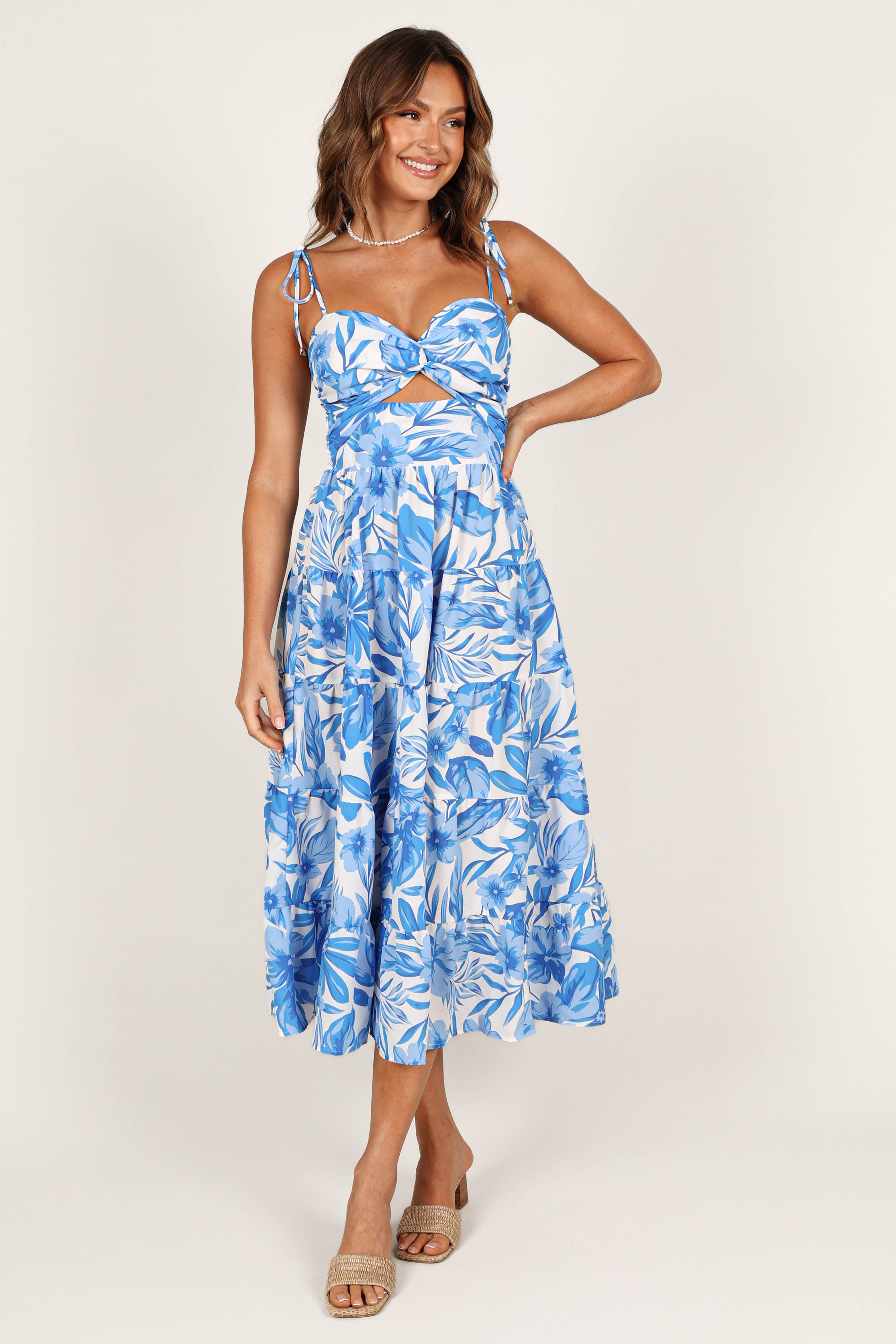 Petal and Pup USA DRESSES Rose Midi Dress - Blue/White