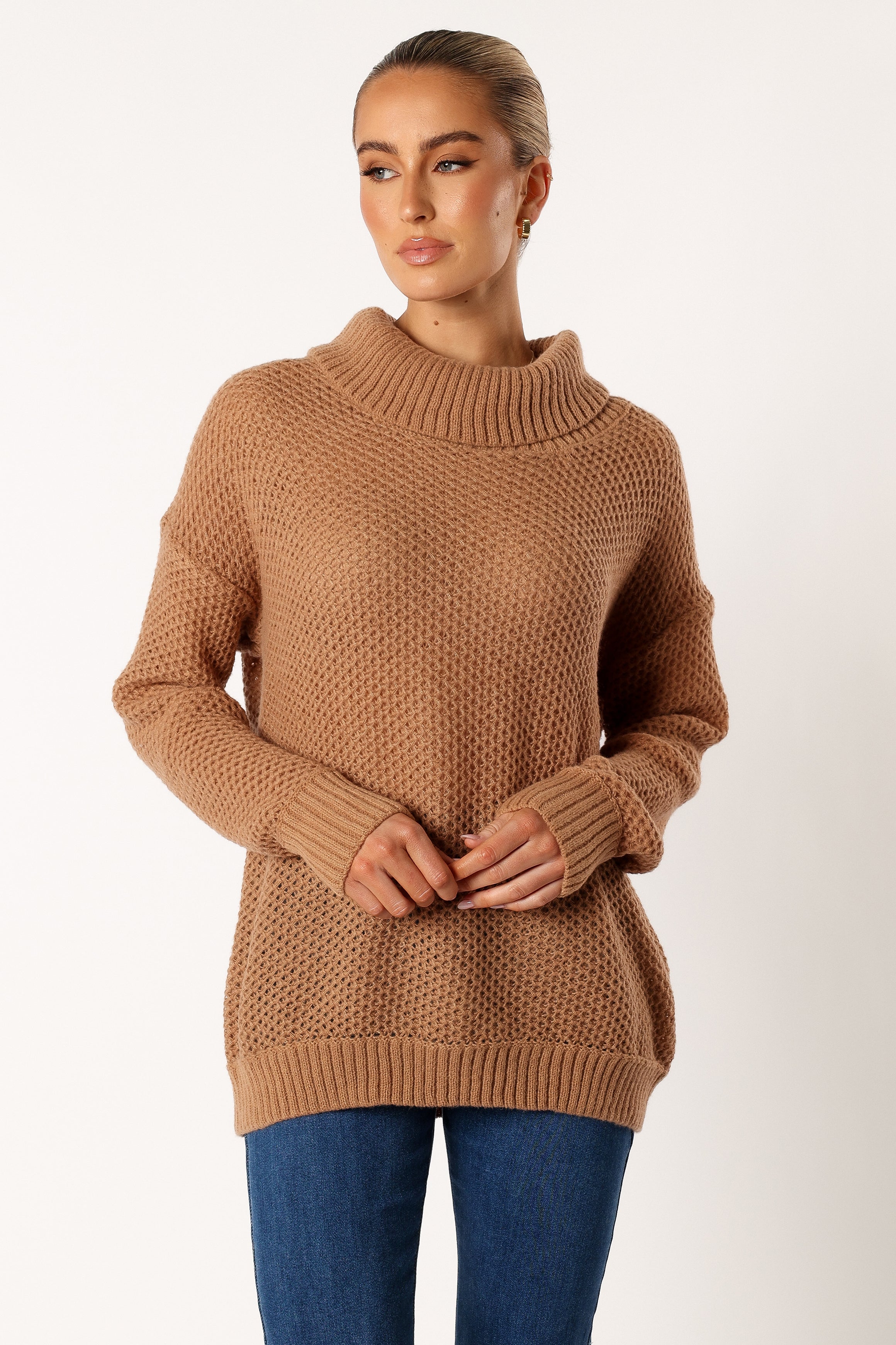 Petal and Pup USA KNITWEAR Rayne Turtleneck Knit Sweater - Beige