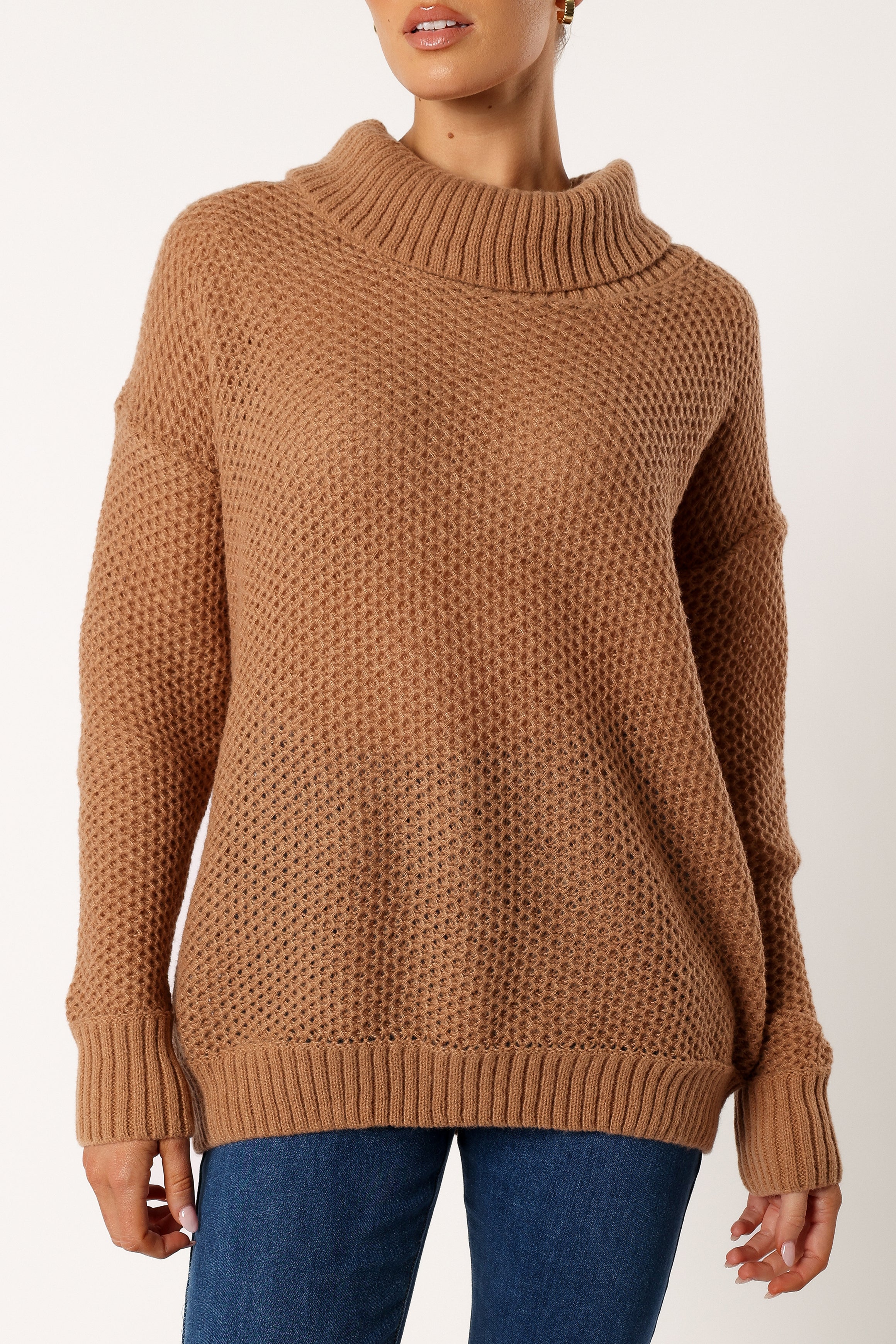 Petal and Pup USA KNITWEAR Rayne Turtleneck Knit Sweater - Beige